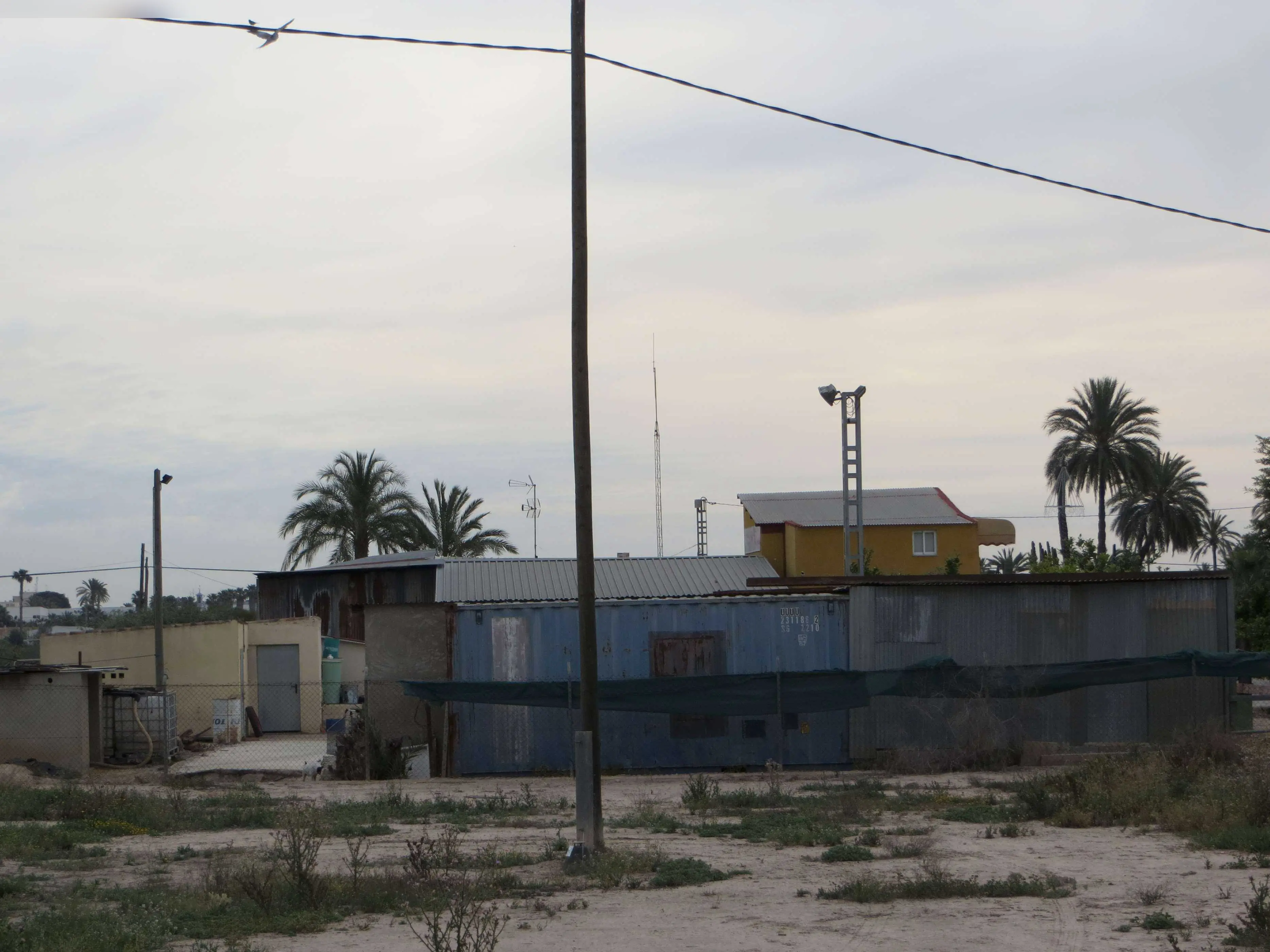 Finca rústica en Elche
