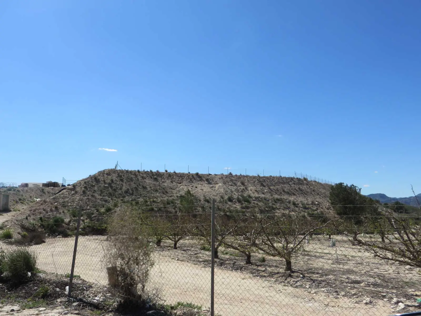 Finca rústica en Blanca