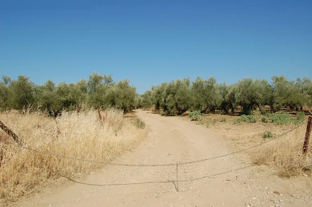 Finca rústica en Andújar