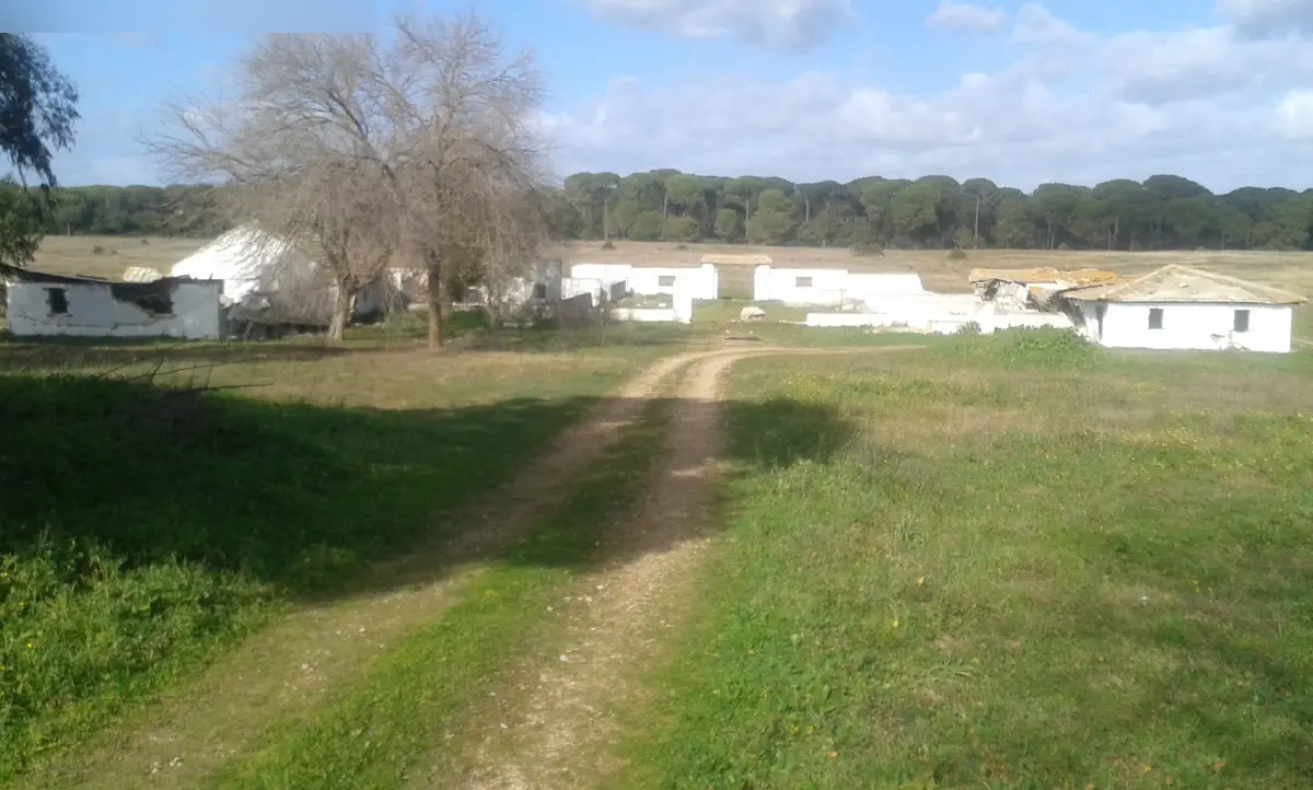 Finca rústica en Hinojos