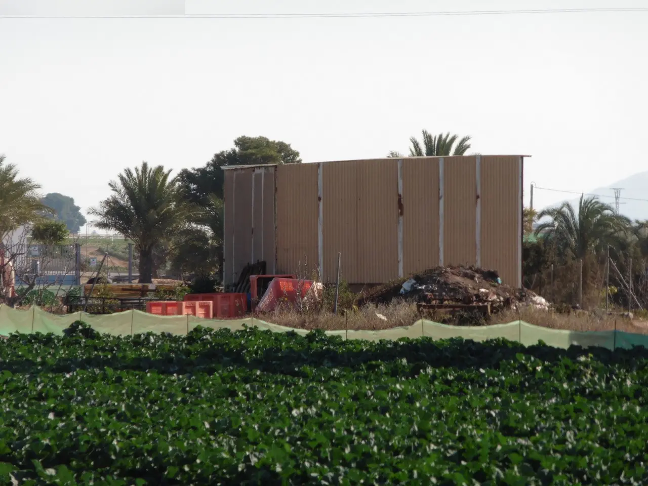 Finca rústica en Fuente Álamo de Murcia