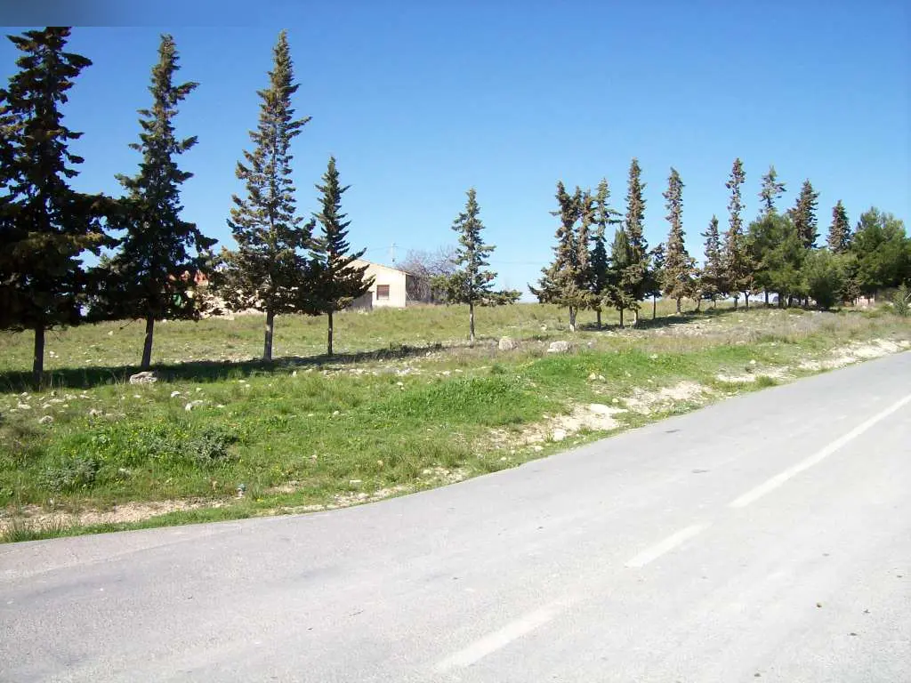 Terreno en Bullas