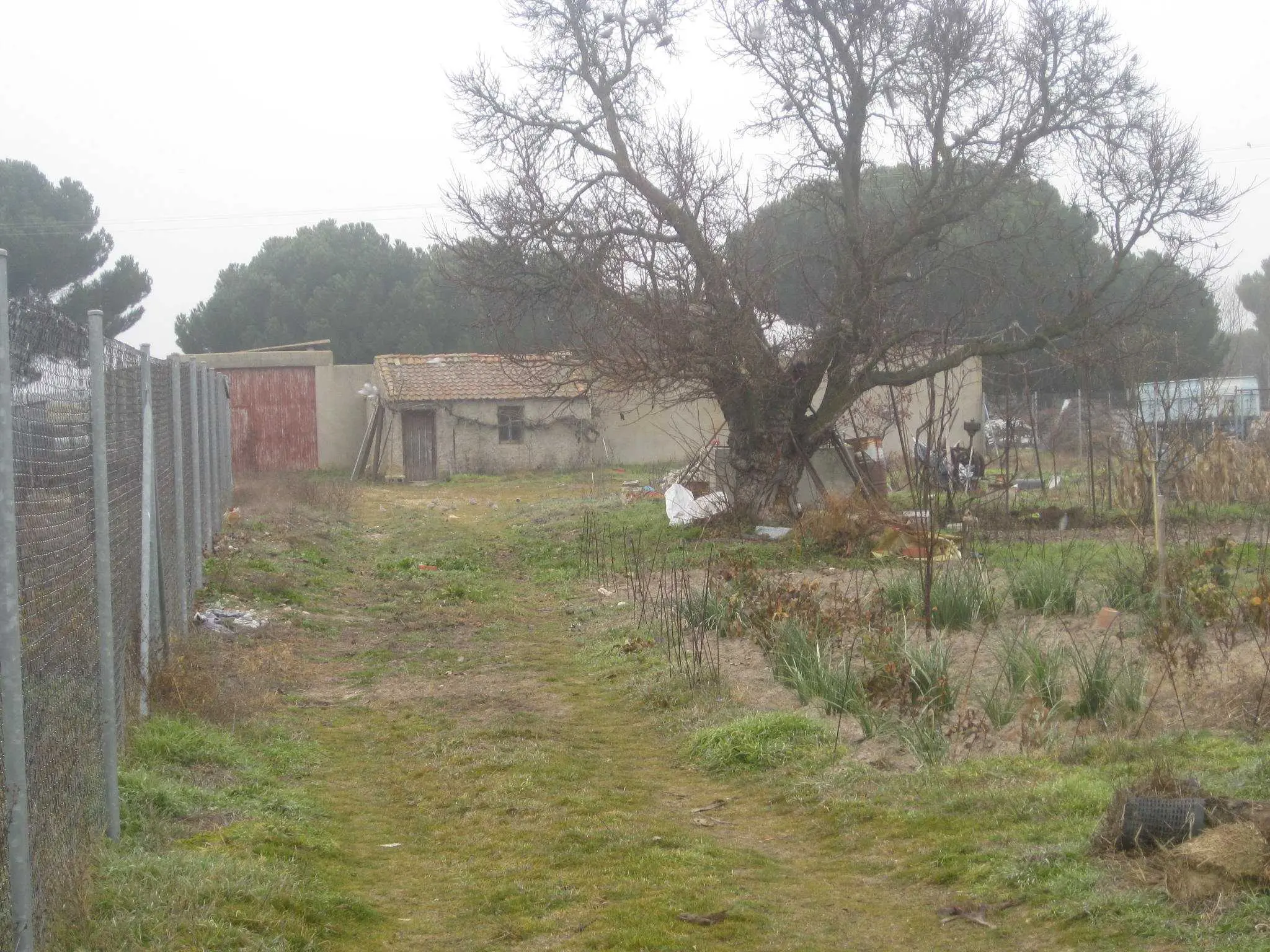 Finca rústica en Peñafiel