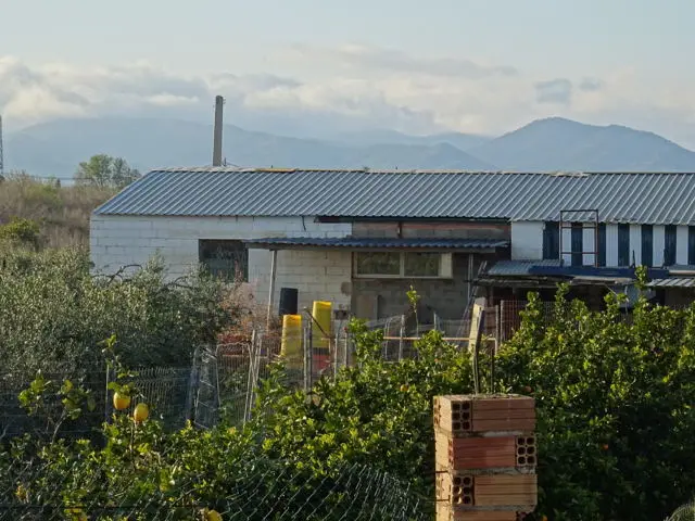 Finca rústica en Riudoms