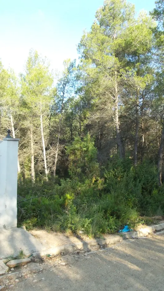 Terreno en El Montmell