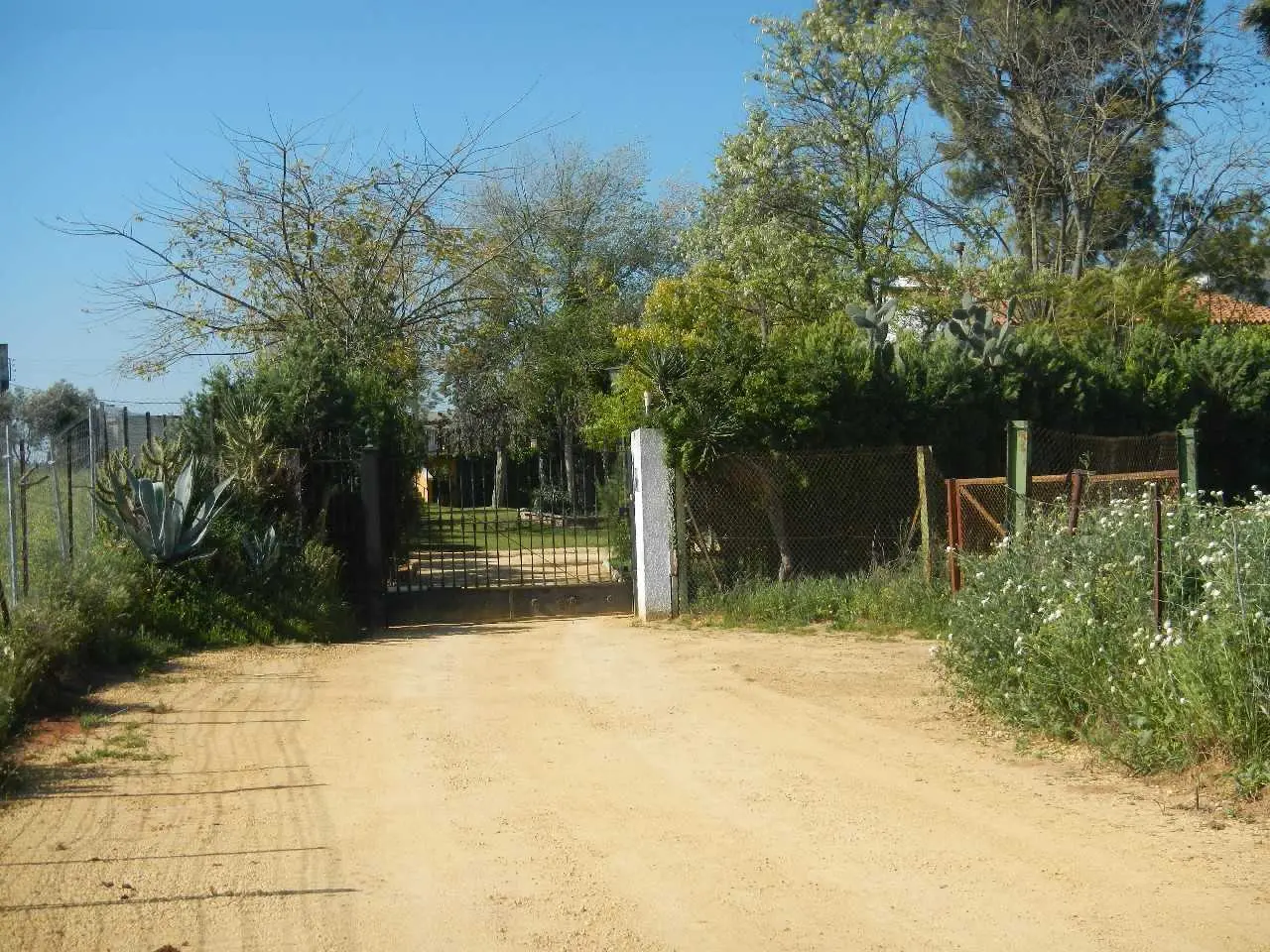 Vivienda en Alcalá de Guadaíra