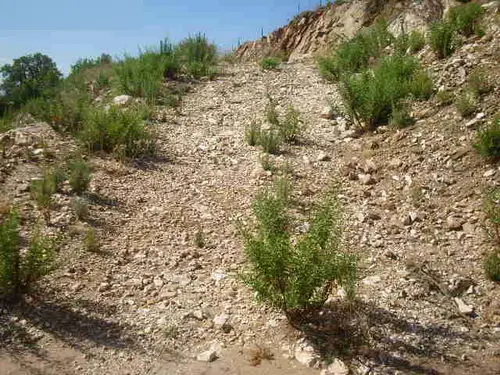 Terreno en Ojén