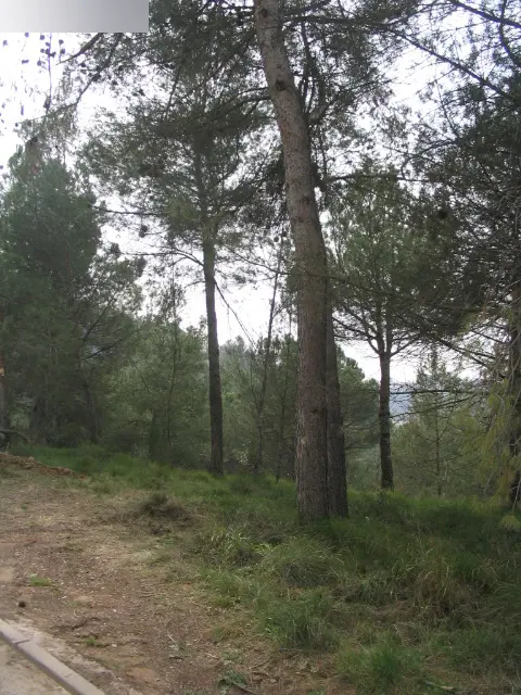Terreno en Sant Fruitós de Bages