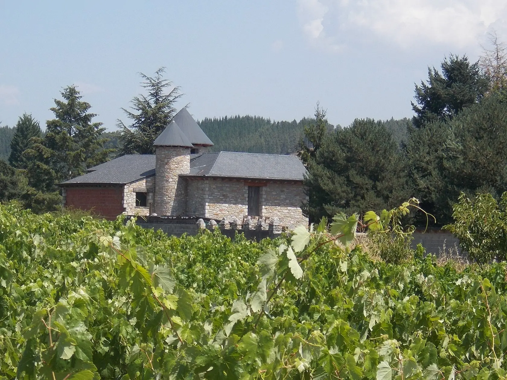 Finca rústica en Arganza