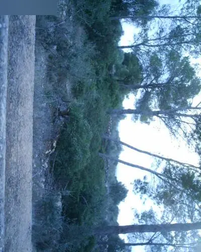 Terreno en Llucmajor