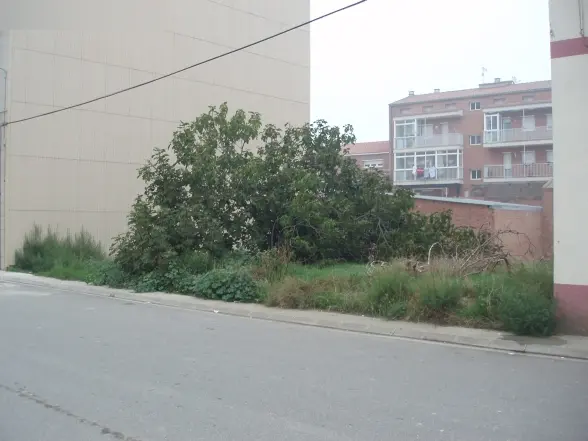 Terreno en Alguaire