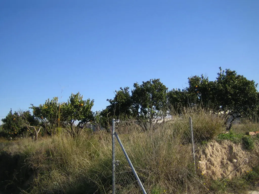 Finca rústica en Ontinyent