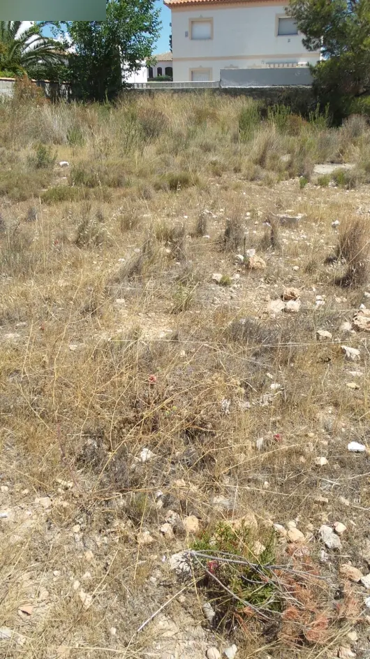 Terreno en Mont-roig del Camp