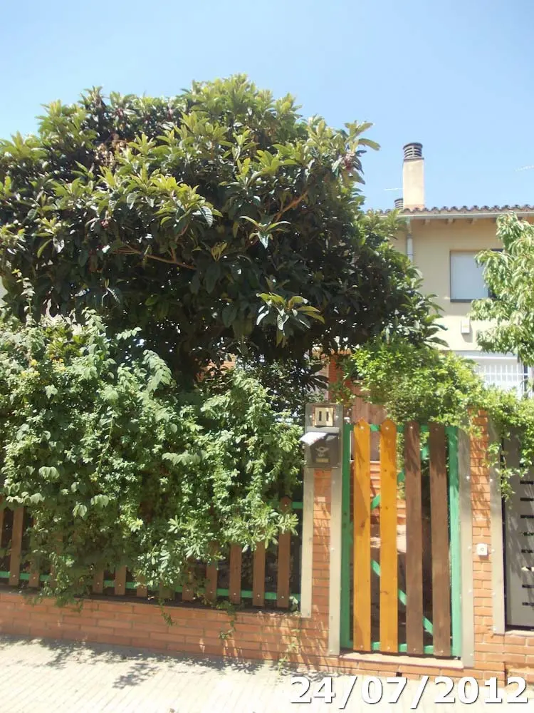 Vivienda en Les Franqueses del Vallès