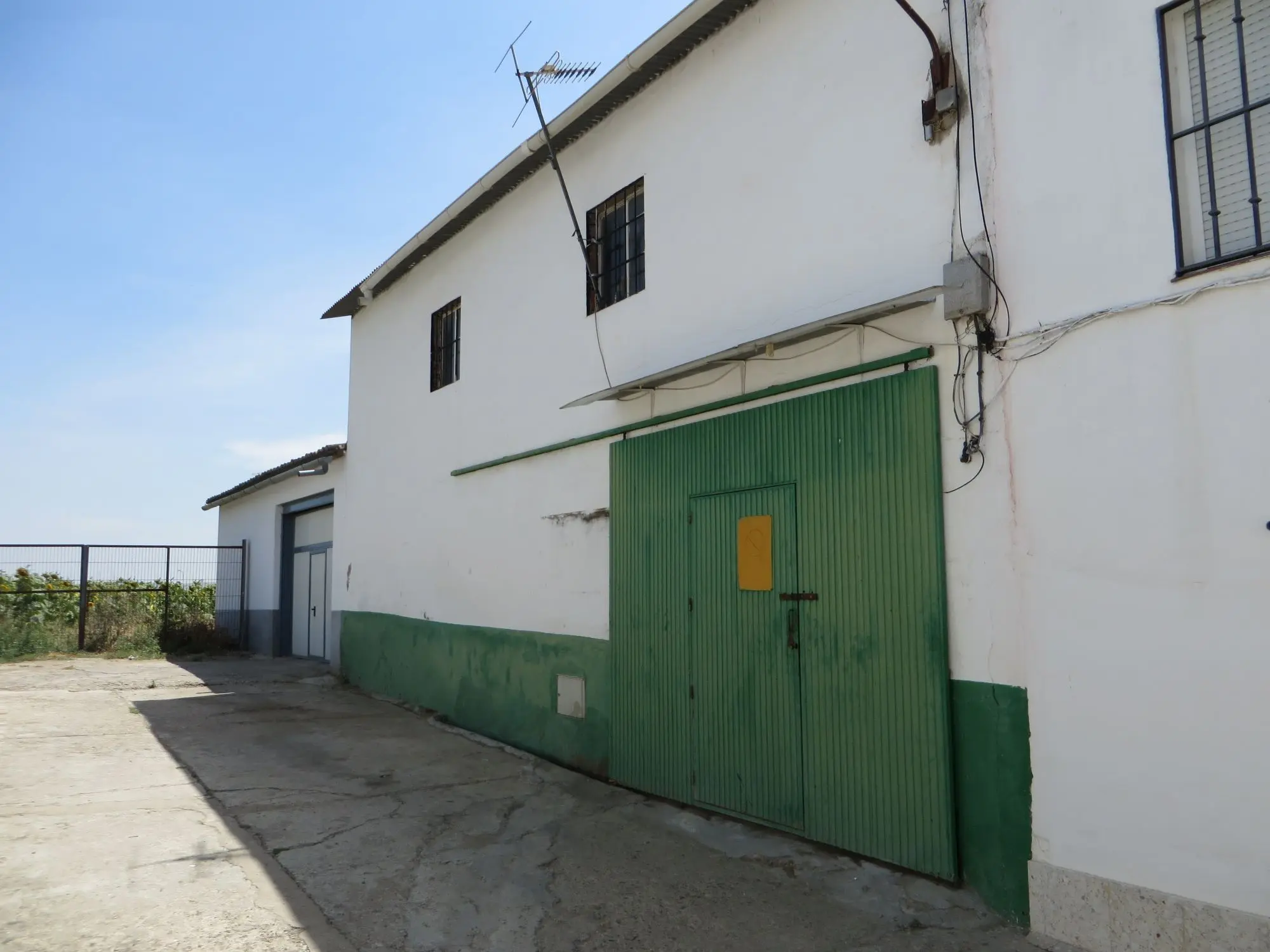 Local en Pedro Abad