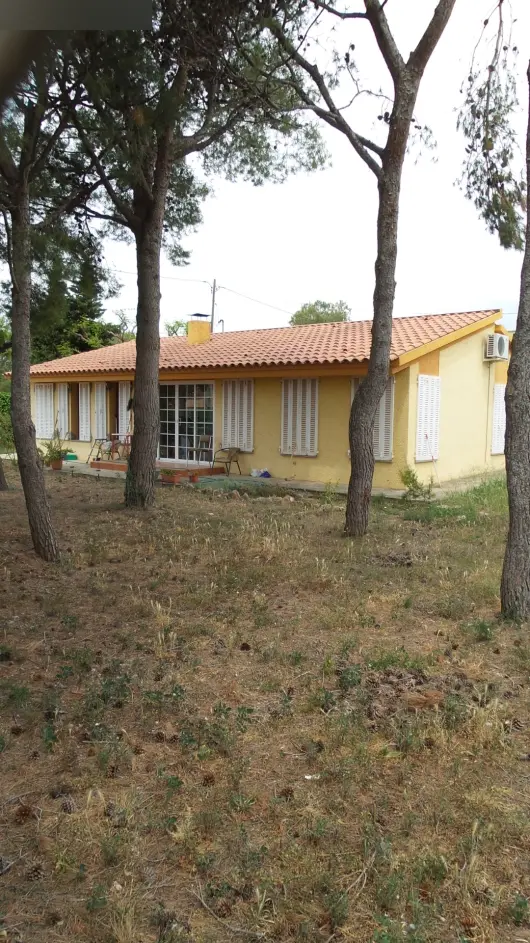 Terreno en Santa Oliva