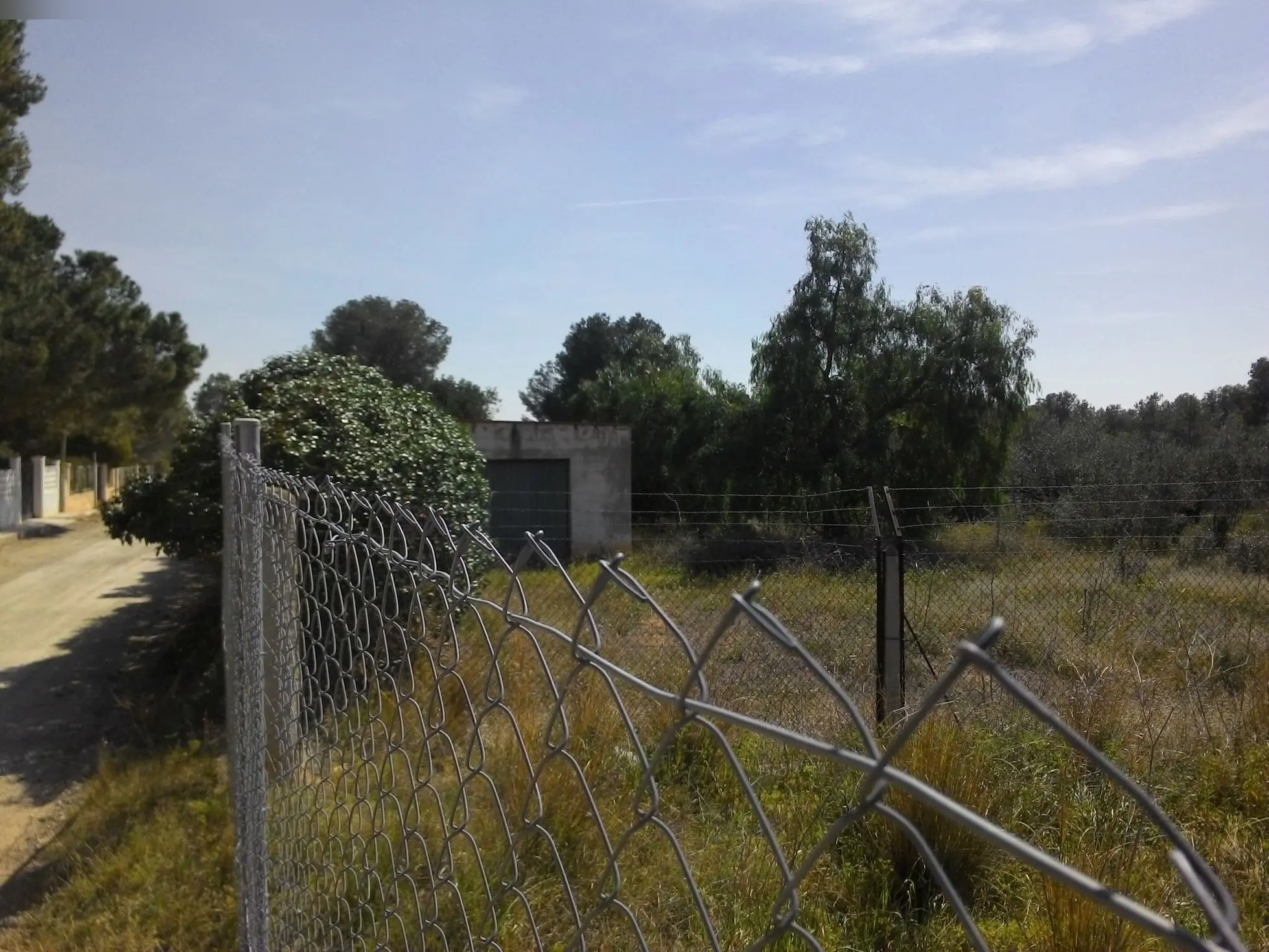 Finca rústica en Bétera