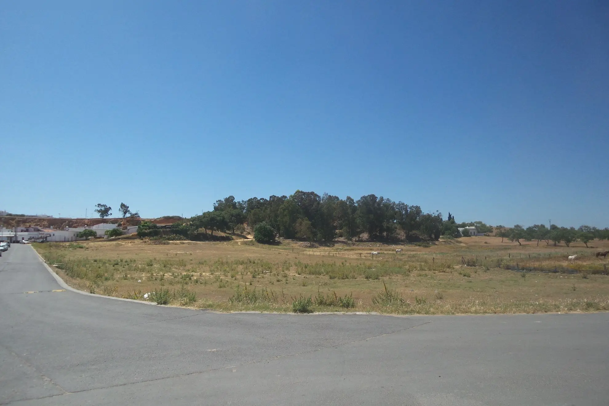 Finca rústica en Cartaya