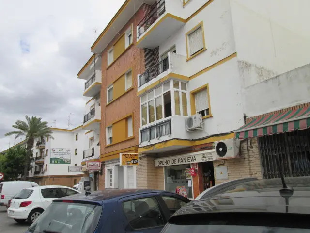 Local en Ayamonte