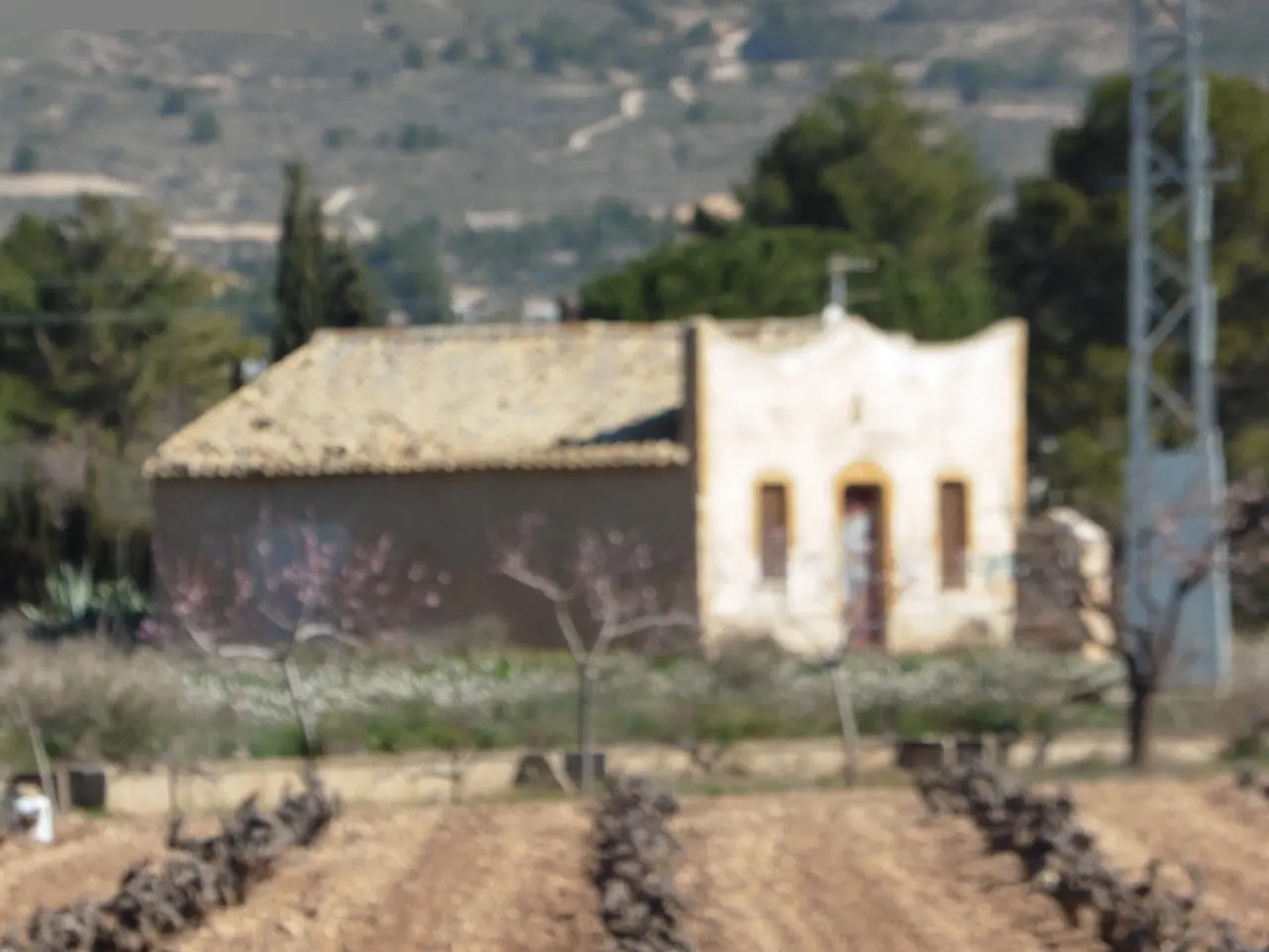 Finca rústica en Yecla