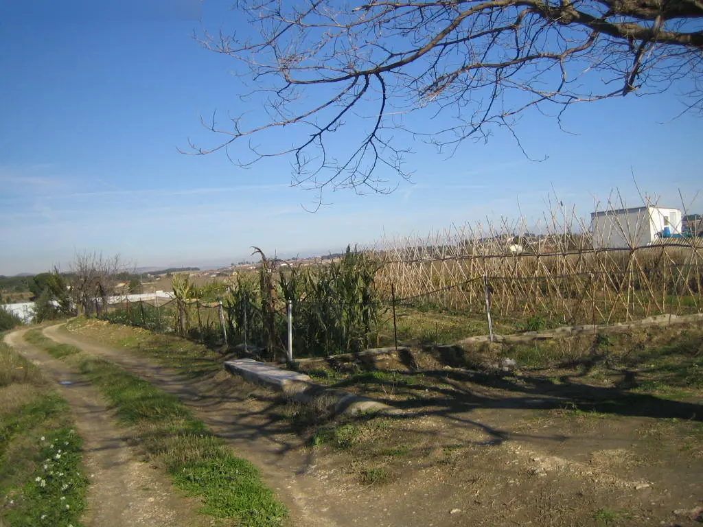 Finca rústica en Ontinyent