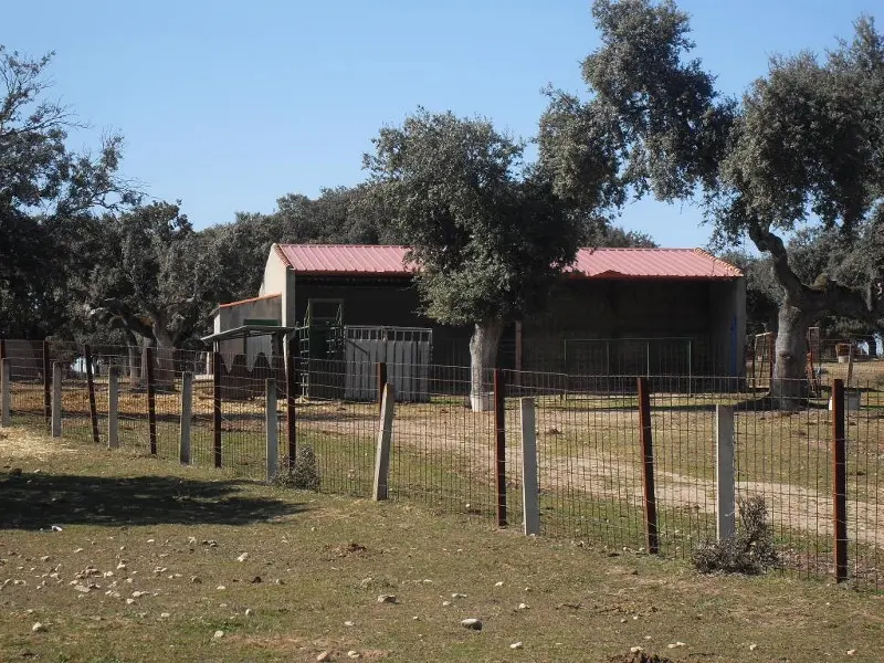 Finca rústica en Palacios del Arzobispo