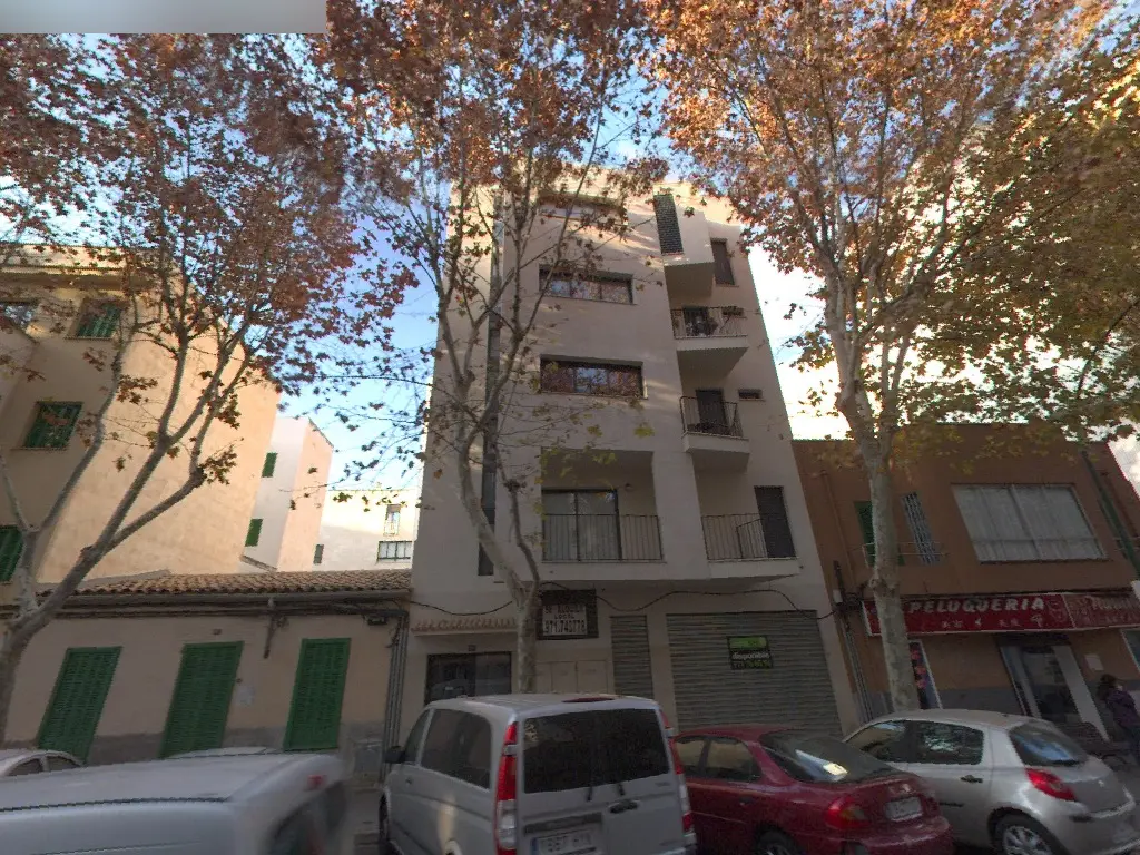 Local en Palma