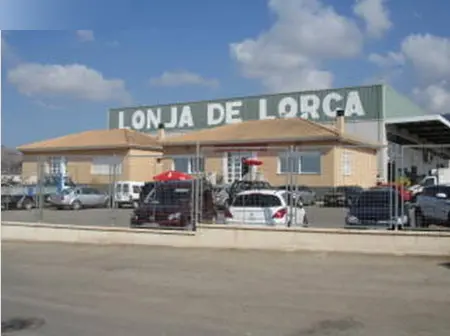 Nave en Lorca