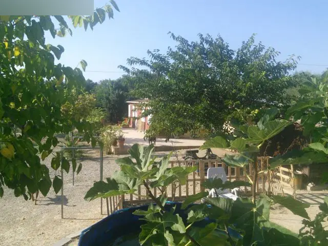 Vivienda en Vallmoll