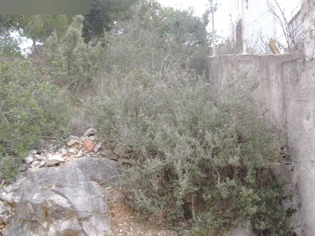 Terreno en Canyelles