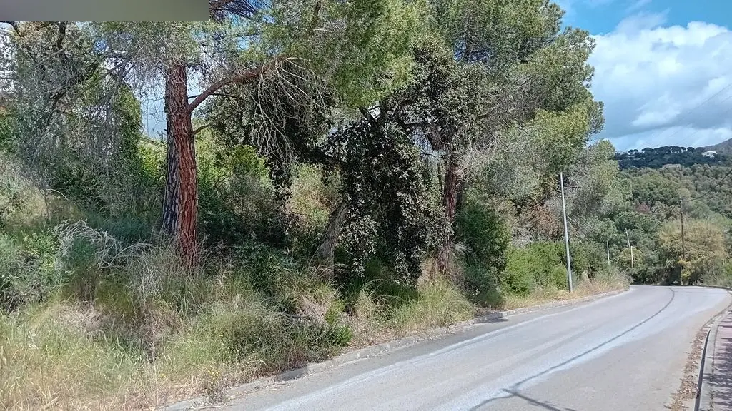 Terreno en Calonge i Sant Antoni