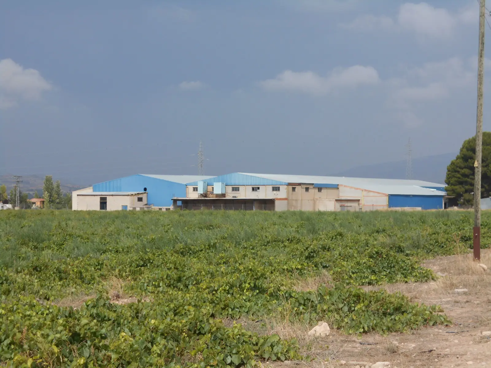 Finca rústica en Caudete