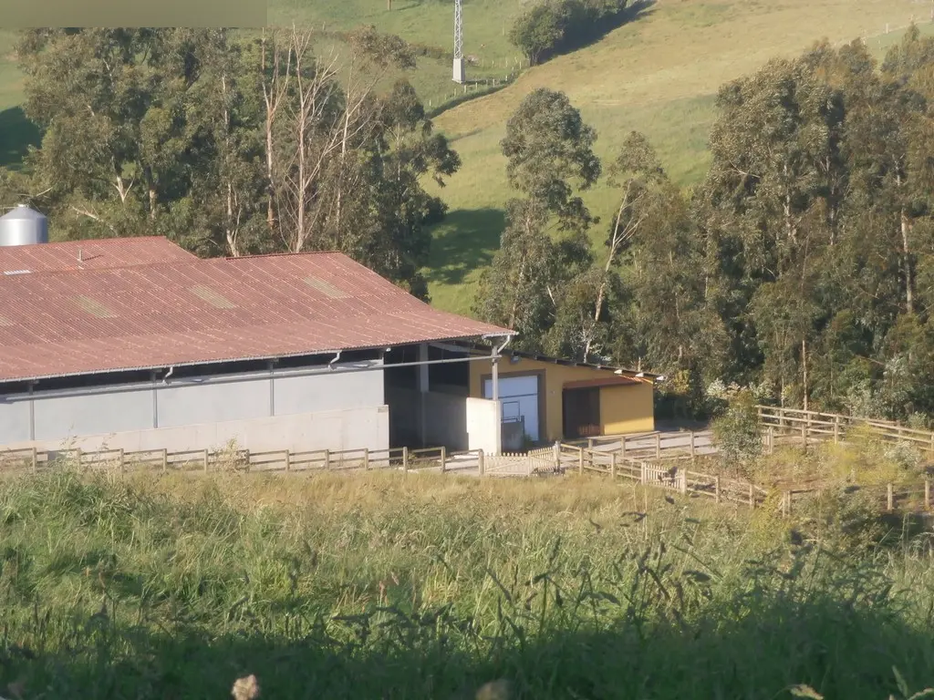 Finca rústica en Villaviciosa