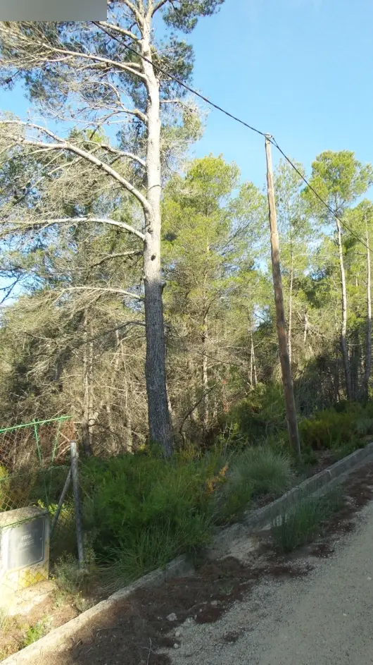 Terreno en El Montmell