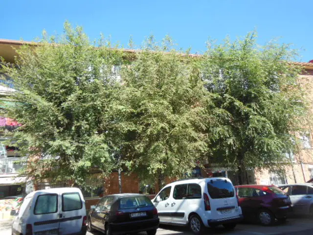 Vivienda en Azuqueca de Henares