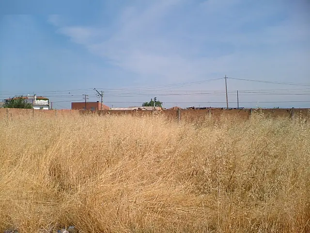 Terreno en Golmés