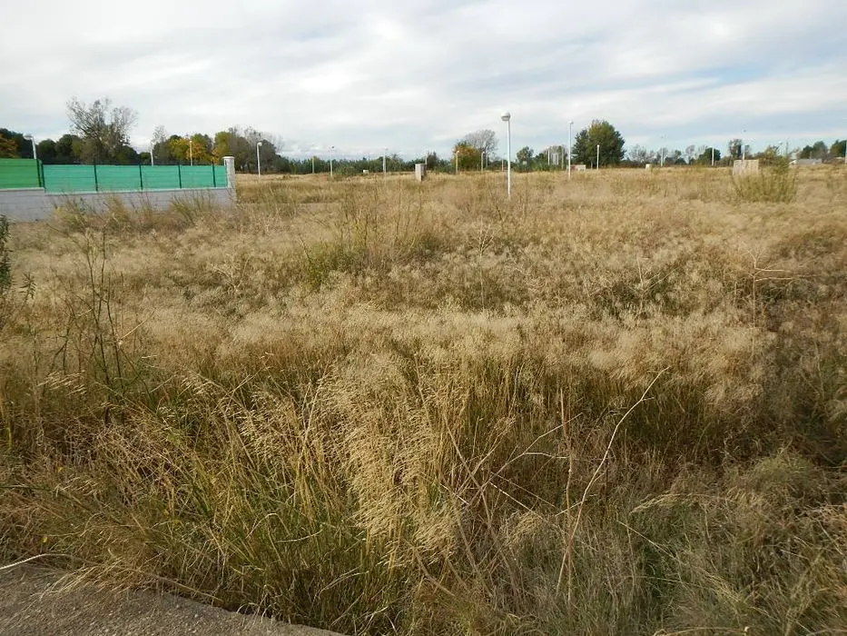 Terreno en Pinseque