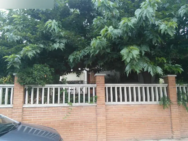 Vivienda en Alcover