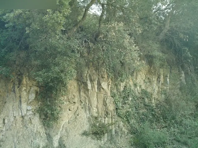 Terreno en Vidreres