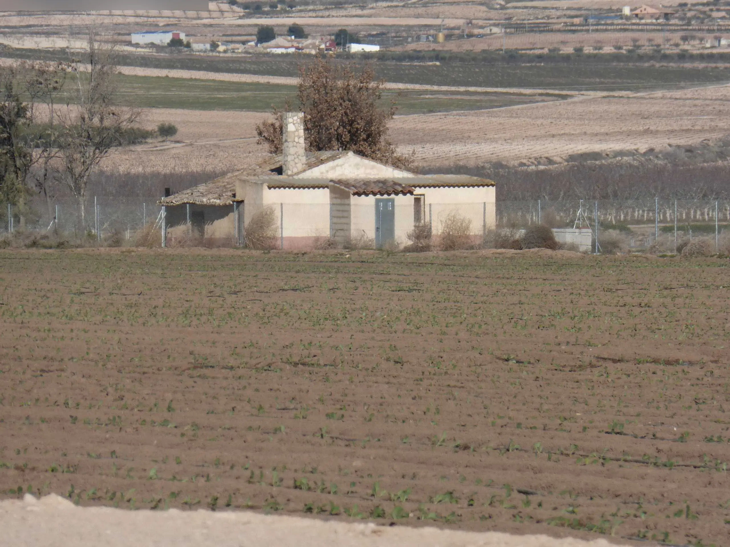 Vivienda en Jumilla