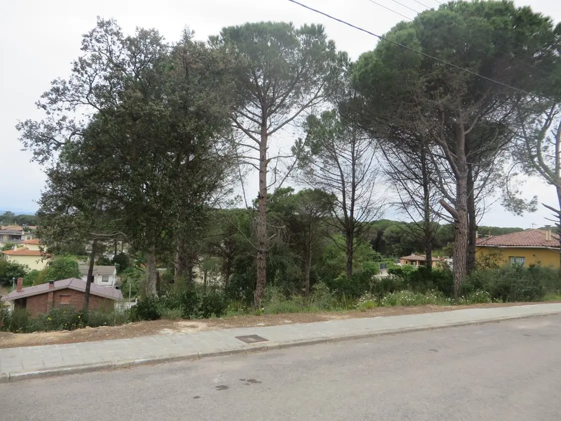 Terreno en Sils