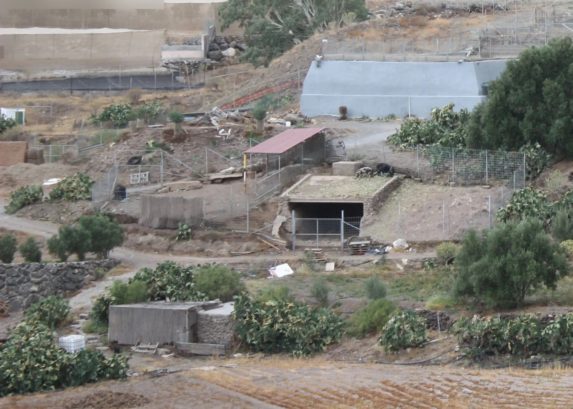 Finca rústica en Agüimes