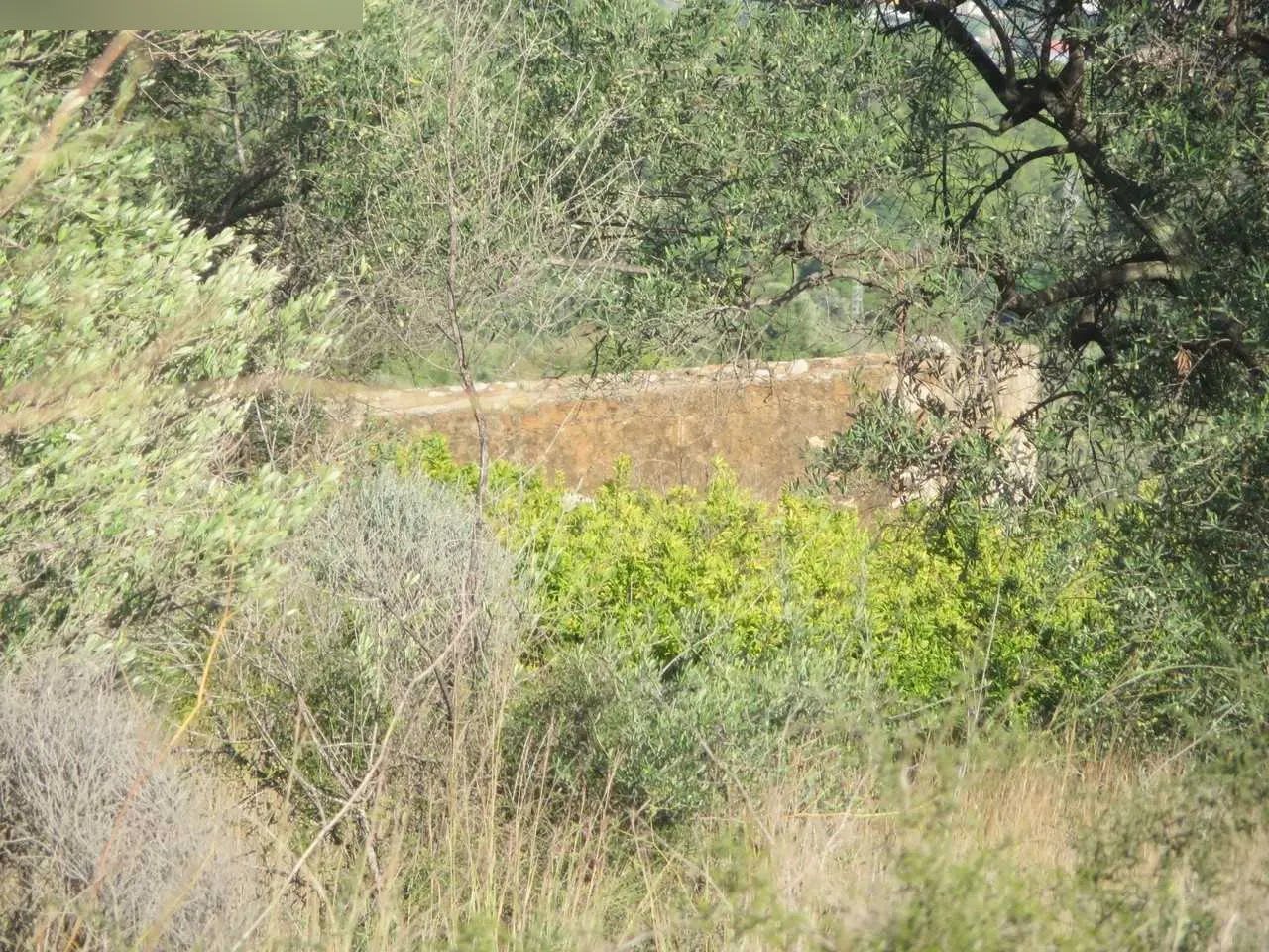 Finca rústica en Peníscola