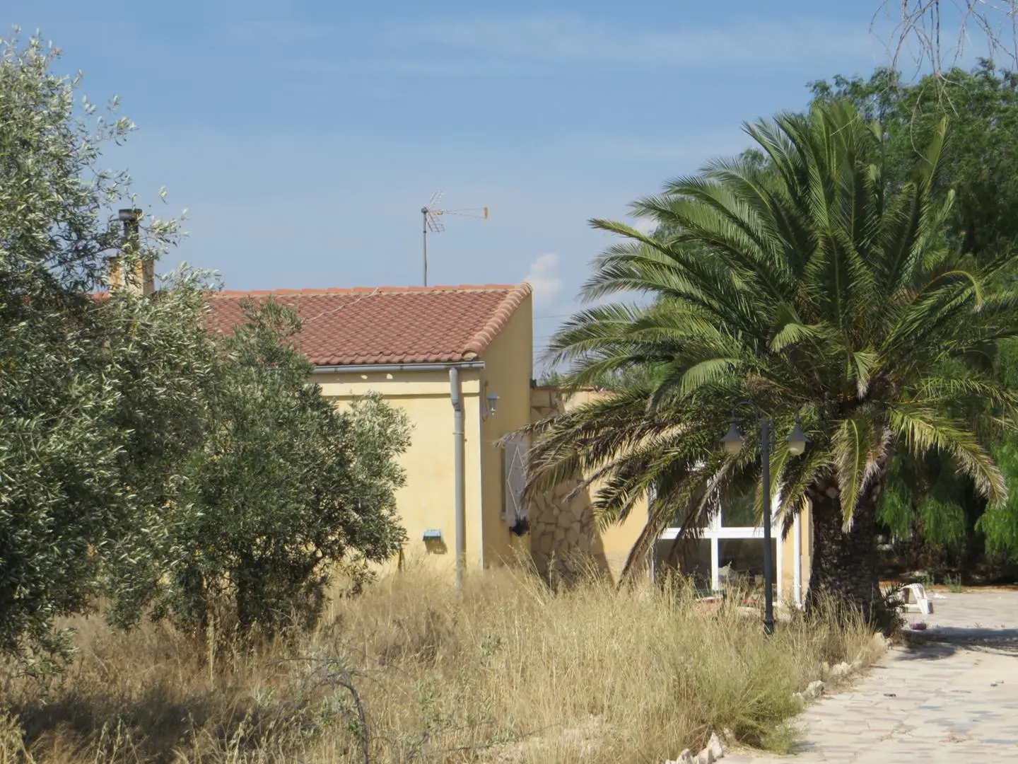Vivienda en Sax