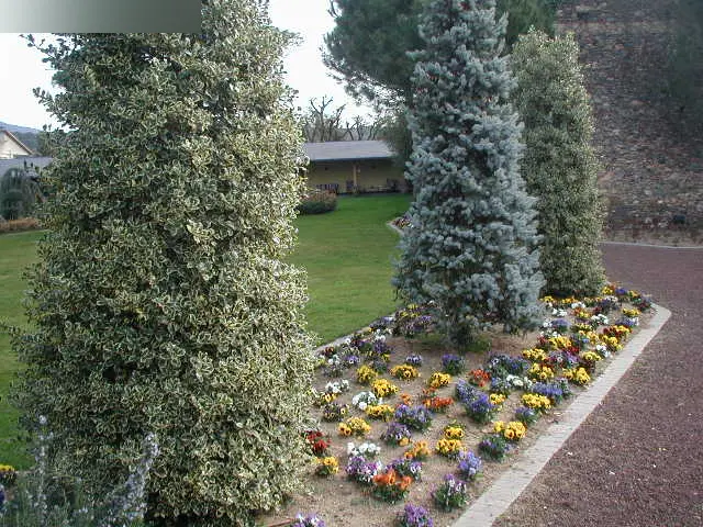 Vivienda en Santa Maria de Palautordera