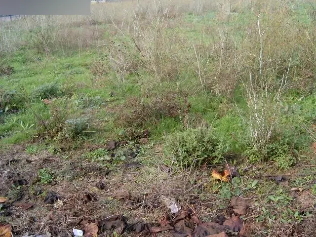 Terreno en Les Borges Blanques
