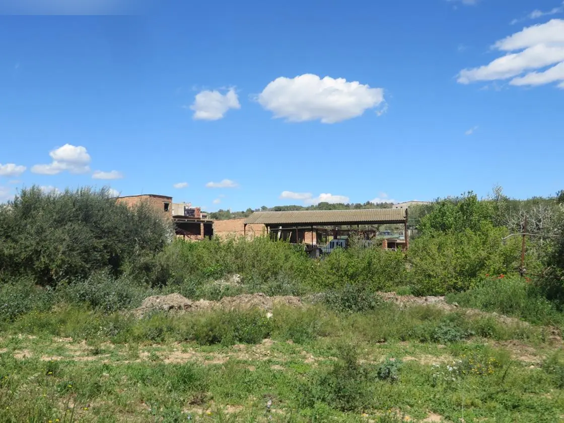 Finca rústica en La Pobla de Montornès