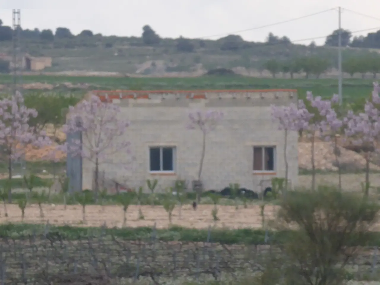 Finca rústica en Yecla