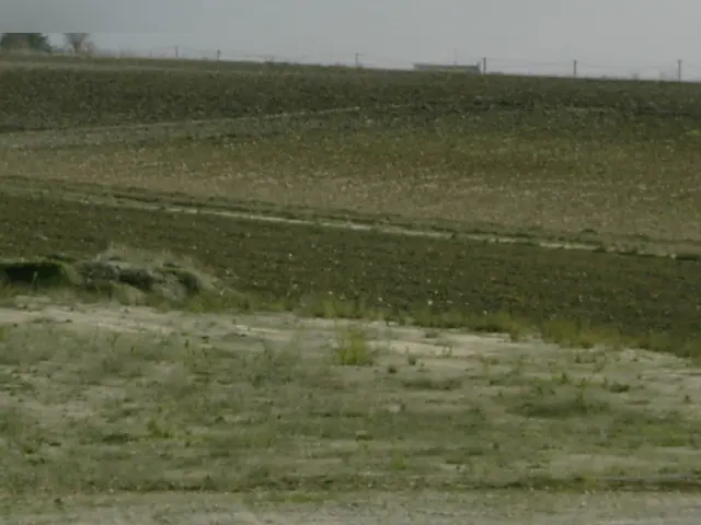 Finca rústica en Laguna de Duero