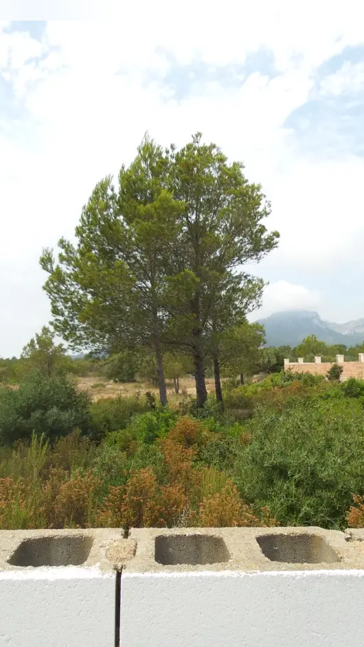 Finca rústica en Mont-roig del Camp